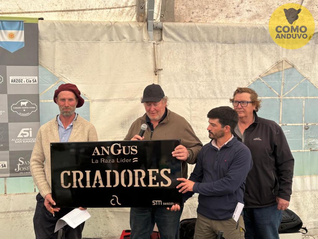 Criadores 